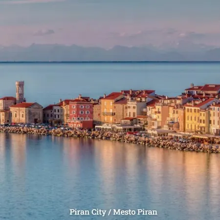 بيت ضيافة Piranart Boutique &